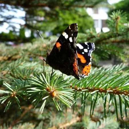 U Bozeny Habitación en casa particular *