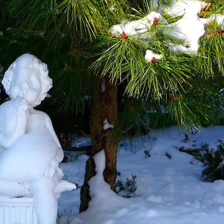 U Bozeny 德兹维济诺