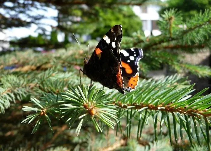 U Bozeny Kwatera prywatna *