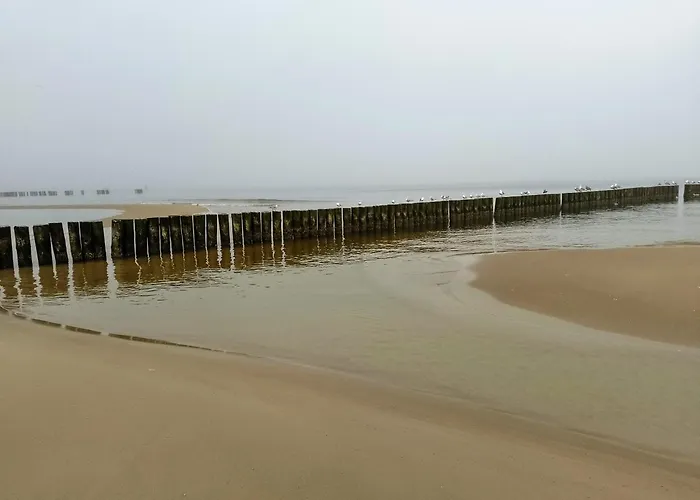 U Bozeny Quarto em Acomodações Particulares Dźwirzyno